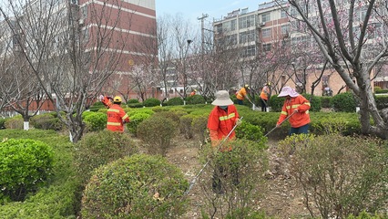 花开满径春正好 园林绿化养护忙——口镇街道绘就春日美景