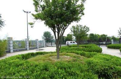 园林绿化 让城市呼吸的诗意画卷